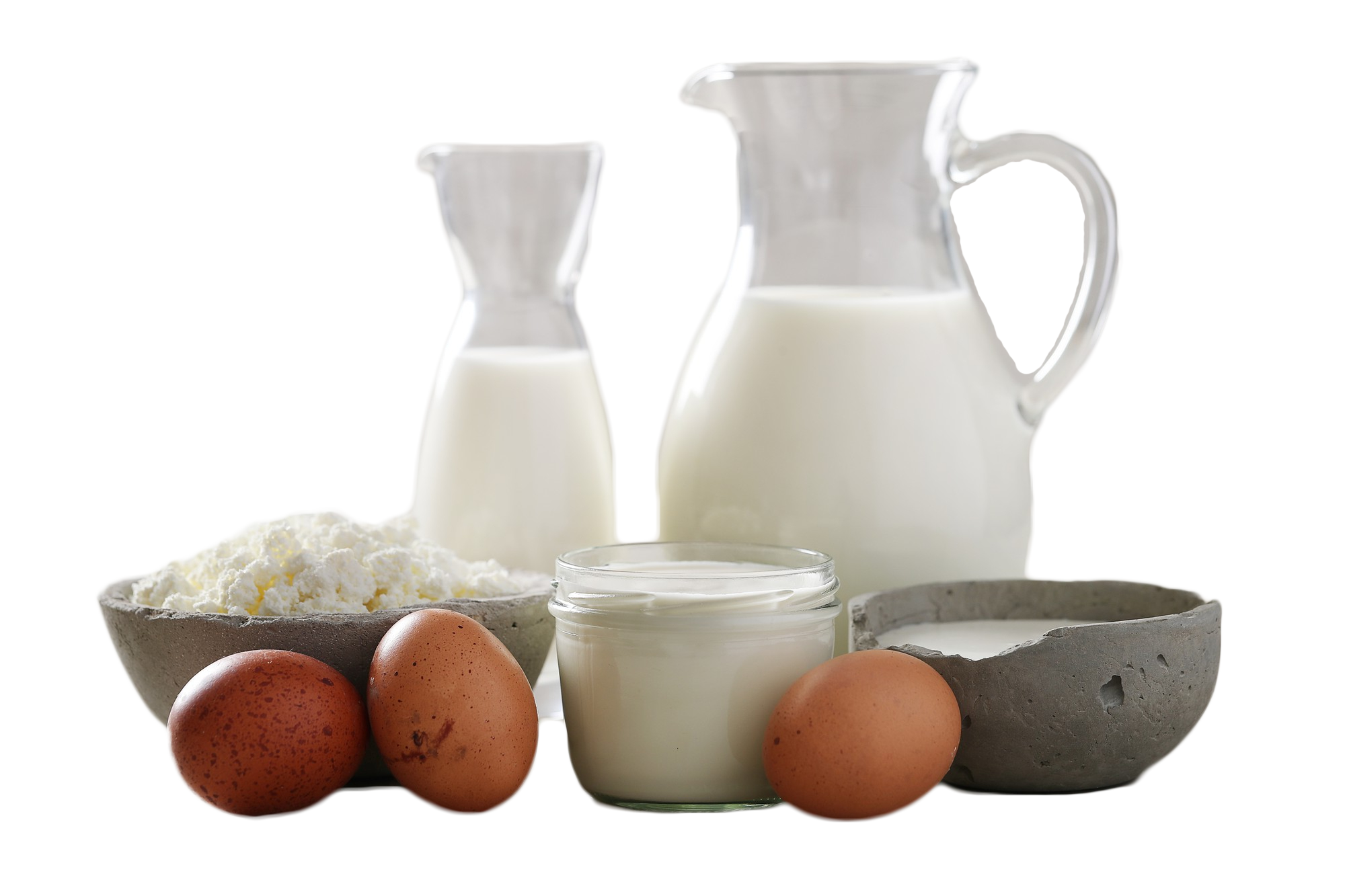 dairy products